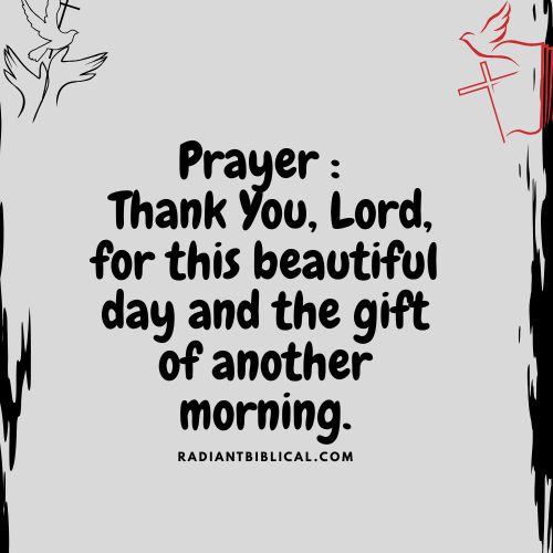 Gratitude and Joy