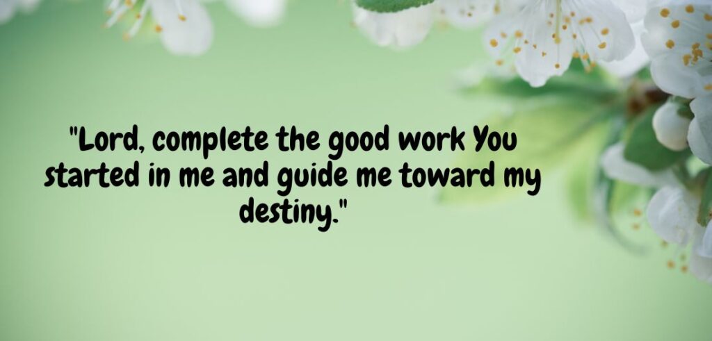 radiantbiblical.com (40)v
