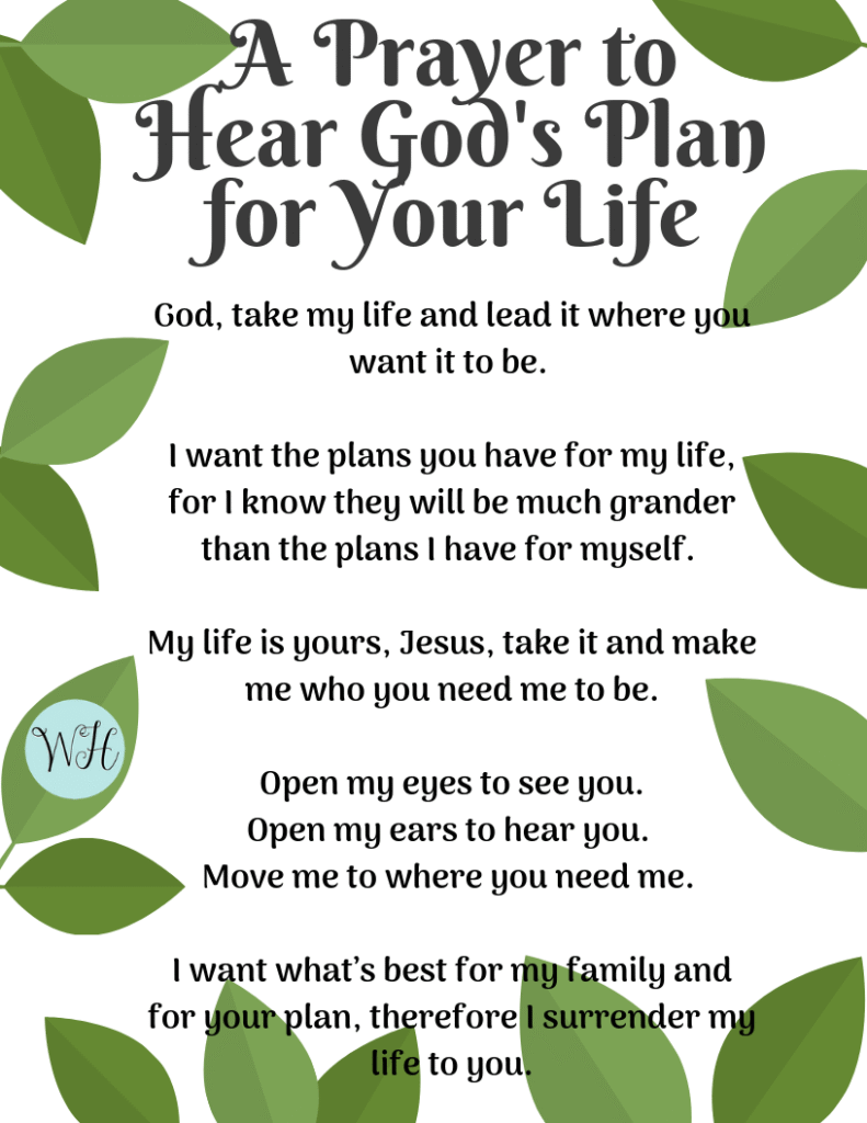 gods plan prayer for your life